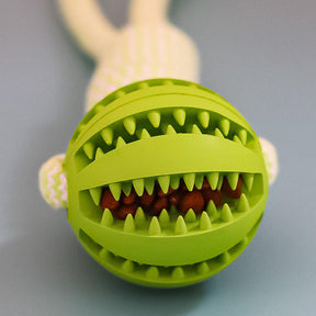 Bite Resistant Toy Ball