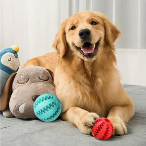 Bite Resistant Toy Ball