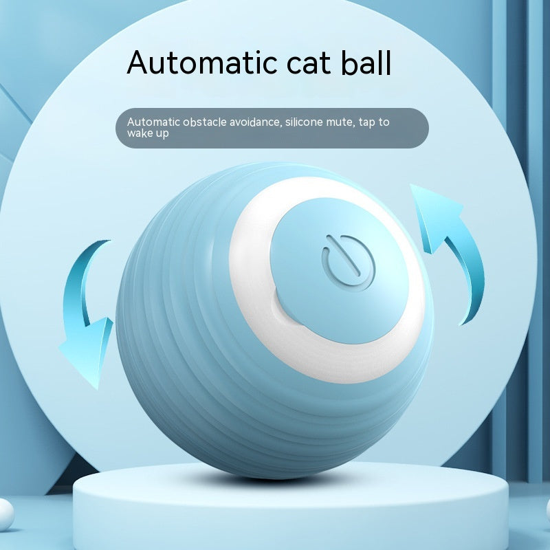 Smart Pet Toy Ball