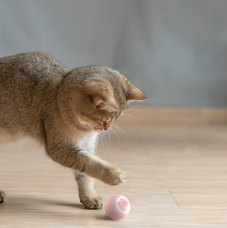 Smart Pet Toy Ball