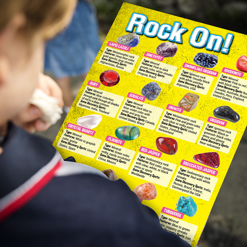 Rock For Kids 36 Pcs Learning Kit