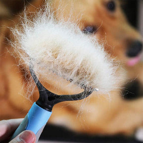 Discover the Ultimate Grooming Brush for Dogs and Cats