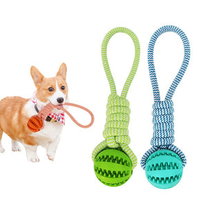 Bite Resistant Toy Ball